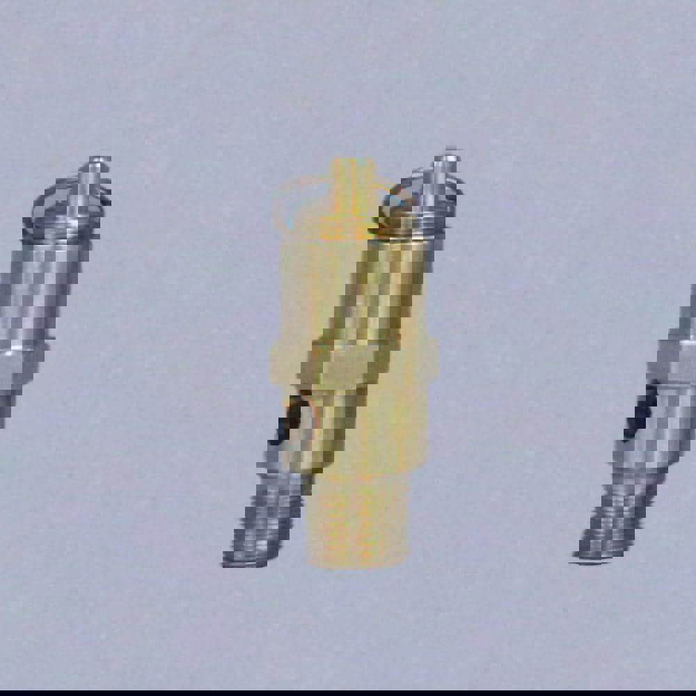 ASME Safety Relief Valve: 1/8